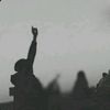 m.r7al