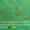 aina_00061