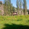 musakhan07.4