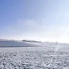 vlkorn9