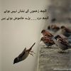mehrankhann007