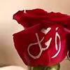 alamal37