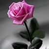 7z.ox