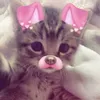 ema_cm