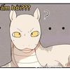 cacom_ne
