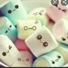 www.coco.12