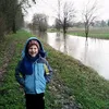 marktheidiot1