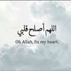 ahmedmorsy462
