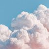 ditzicloud