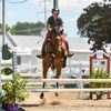 loftyheartstables