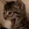 allylikesjade