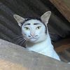 soyvanana