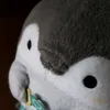 pika.728