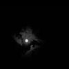 damon_700