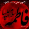 user1950775236395