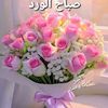 amani_9090_