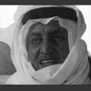 u_raf3