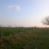 __yy17_
