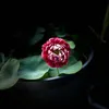 thuongmotnguoi0911