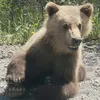 maksim.kamchatka
