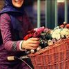 omhassan2311