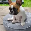 papson_44