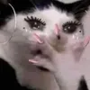 nondunchat