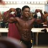 willswole
