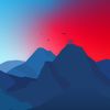 andrew_6968