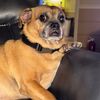 mollyqueen423