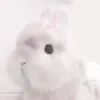 ribbwun_