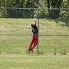 corycline7