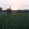 mohsenmahanshi
