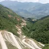 thaottyb93