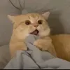 huyenmy23112018