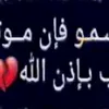 user42662557