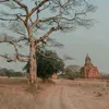 dygpq0smwhsl