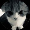 oxdy4