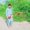 waheedali812