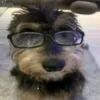danielnuts_