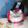 cma_zainabali