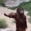 va_sasshhhhhhhh