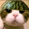 this_is_iss