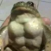 ruan_gplay