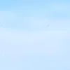 pwgdjqjdp26