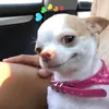 mybluuu101