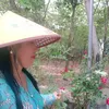 ngocbich222229