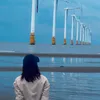 lnguyenduongl