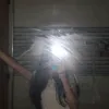 _nokiyoro