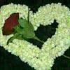 x6akor